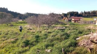 Terreny residencial a Lugar el cuadro 24. Finca edificable en pillarno
