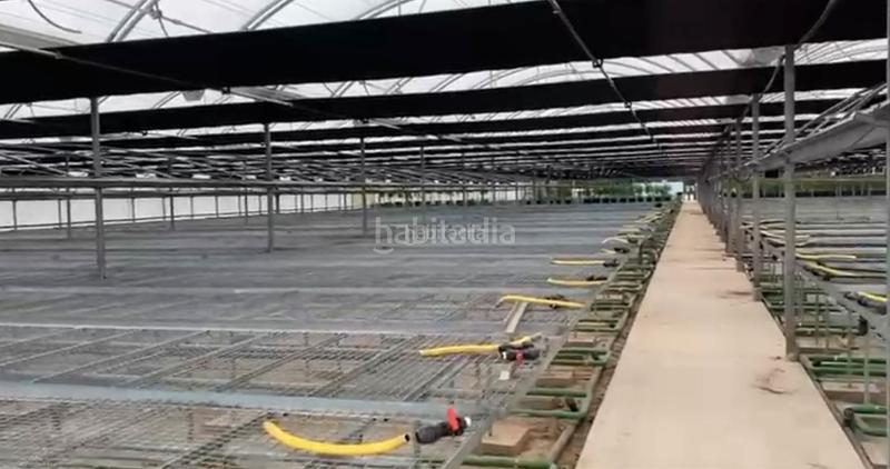 Foto 0bc2a542-be33-43d2-8fc3-a6b77b2304c0. Area edificabile industriale in carrer francesc macià 1 in Palafolls