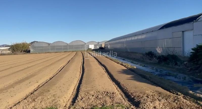 Foto 666ae7f5-17ab-4211-83f1-79c09a284053. Area edificabile industriale in carrer francesc macià 1 in Palafolls