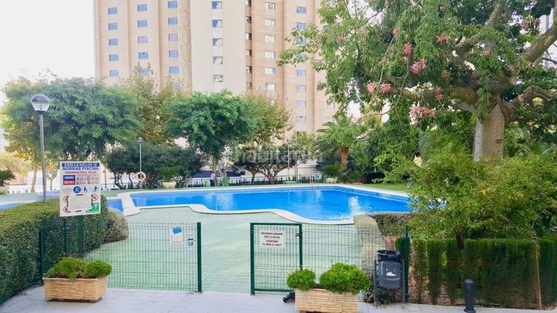 Foto ca216acb-c9c1-484b-8a66-a000fc8082d1. Miete etagenwohnung in avenida del doctor orts llorca 21 in Benidorm