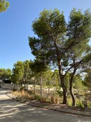 Terreny residencial a Calle corniola 10. Parcela urbanizable