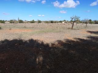 Terreny residencial a Camí de son antelm 89. Terreno rustico de 15.200 m2  230m2 edificables