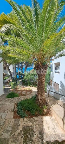 Foto 2c7c54a9-7707-4c3e-a7bd-5c575815794c. Lloguer pis a carrer cala es conills 42 a Sant Elm Andratx