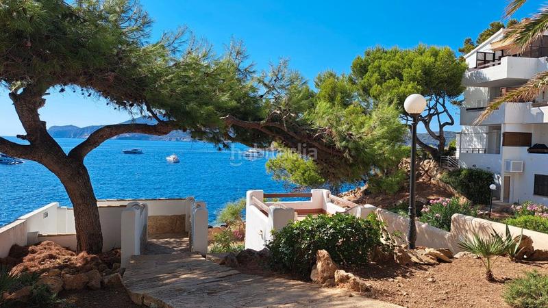 Foto 5c36e53a-47a5-47b4-9d6b-21050ea1dc57. Lloguer pis a carrer cala es conills 42 a Sant Elm Andratx