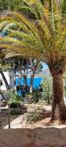 Foto 960211c3-e031-4c0a-9fbe-5ecb87069c91. Lloguer pis a carrer cala es conills 42 a Sant Elm Andratx