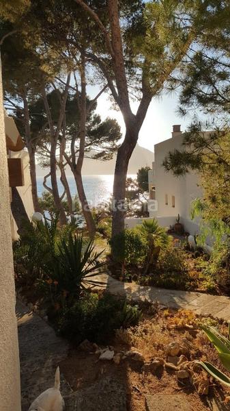 Foto ab7a92e7-1c30-4fbb-837e-918a7c8fa7f1. Lloguer pis a carrer cala es conills 42 a Sant Elm Andratx