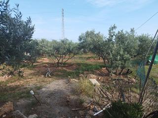 Xalet a Camino huebro 1. Cortijo con piscina en el viso, nijar