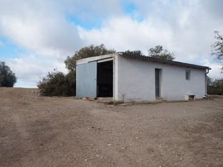Masia a Plaça del carme 19. Terreno con casa para tus calçotadas + 400 almendros
