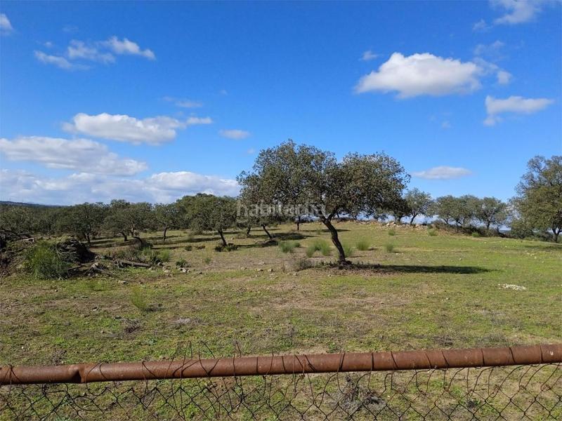 Foto 15f59891-7cdd-4f81-b668-a3e8d0881e46. Pis a calle puebla de cazalla 60 a Palmete Sevilla