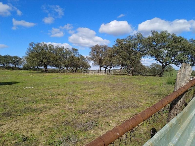 Foto 6122c85a-9263-427a-ac34-ad1a52c8f1d1. Pis a calle puebla de cazalla 60 a Palmete Sevilla