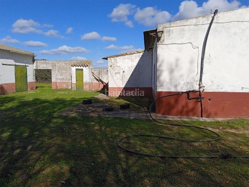 Foto 7c2fe36c-a247-4c09-bdea-6d103ade751c. Pis a calle puebla de cazalla 60 a Palmete Sevilla