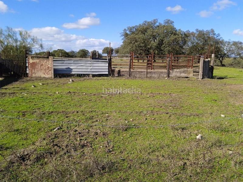 Foto 7e37428a-baf4-40b0-8c30-cb2c241fa688. Pis a calle puebla de cazalla 60 a Palmete Sevilla