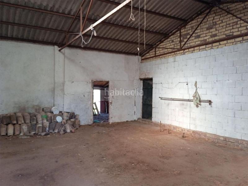 Foto 9cf6fcbc-4894-453c-8db3-16c4bc440cd7. Pis a calle puebla de cazalla 60 a Palmete Sevilla