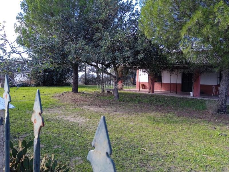 Foto eb4a5fd8-af0a-4720-81bf-e7c5bcc74608. Pis a calle puebla de cazalla 60 a Palmete Sevilla