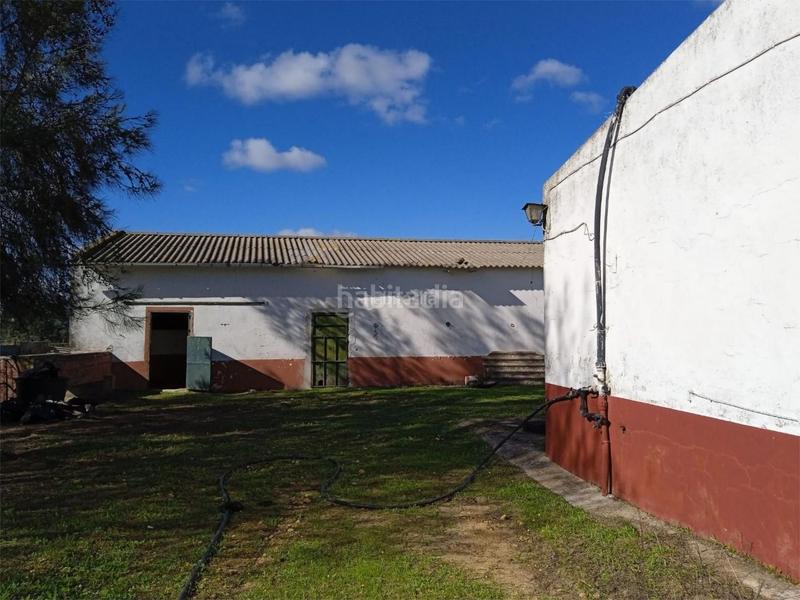 Foto f84bff32-97c2-4ba0-b49b-c6c4013c1af8. Pis a calle puebla de cazalla 60 a Palmete Sevilla