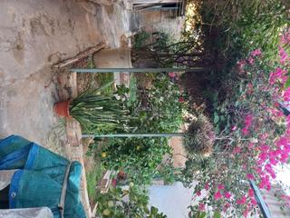 Ground floor in Carrer de la barrera 48. Planta baja no techo libre