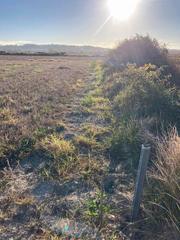 Rural plot in Ma-3222 1219. Rustica en sant joan
