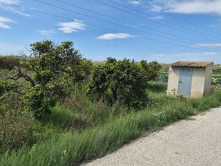 Masia a Cv-920 3. Guardamar del segura