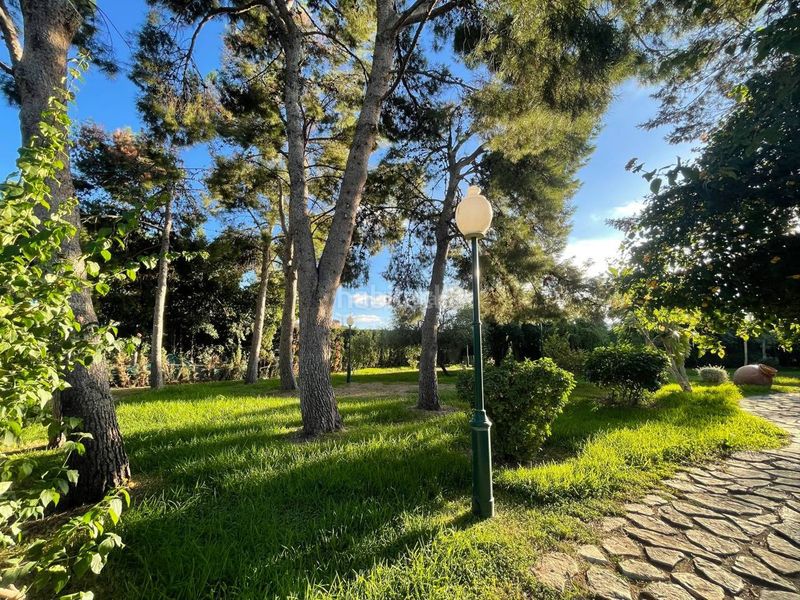 Foto a06bb8dd-2070-4bde-899e-97cc796ae809. Alquiler chalet en carrer mestral 3 excepcional chalet independiente con piscina en Sant Vicent del Raspeig