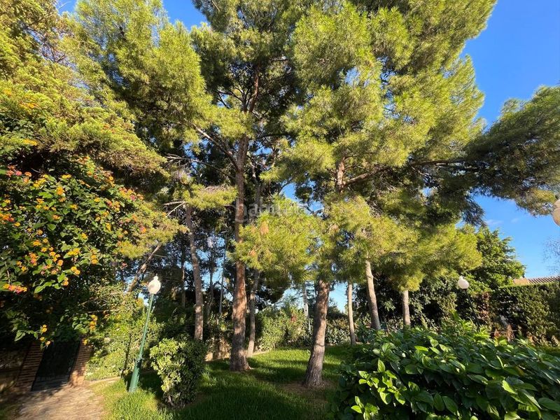 Foto b0853bbc-be25-4cb4-be43-1fa0c2865ccc. Alquiler chalet en carrer mestral 3 excepcional chalet independiente con piscina en Sant Vicent del Raspeig