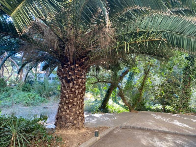 Foto 65f8d4b5-87a6-486a-be7a-f46c0260b4a2. Location appartement dans avenida gola del puchol 6 dans Valencia