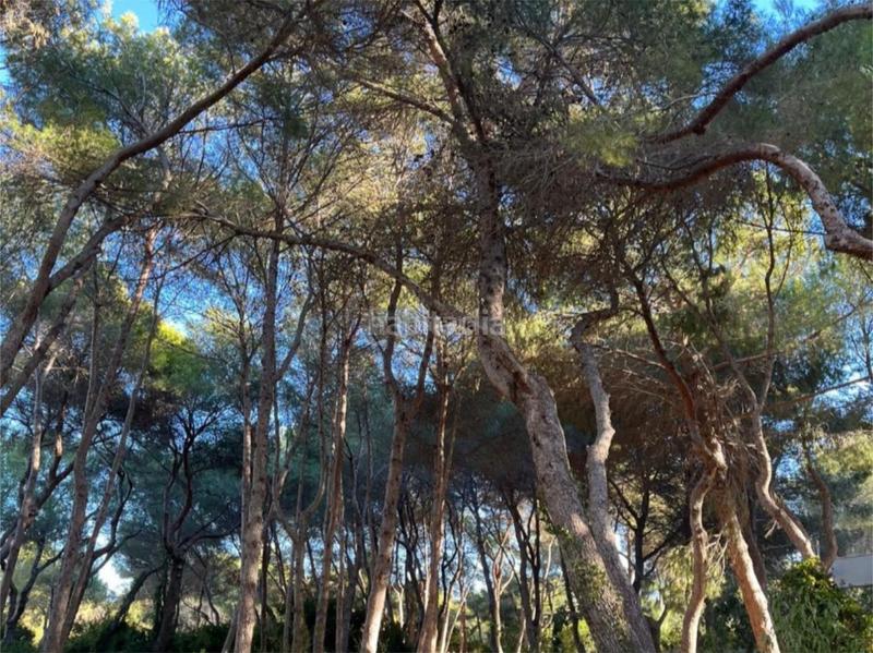 Foto c785a152-cd61-4ce7-ac62-bef5774135c0. Location appartement dans avenida gola del puchol 6 dans Valencia