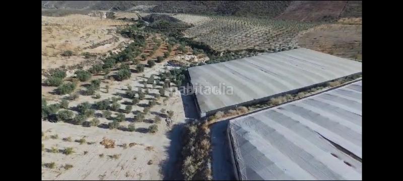 Foto ebb22972-b3b6-43ff-bf6d-79e96f665ad5. Finca rústica en plaza plaza 1 finca agricola en ugijar en Ugíjar