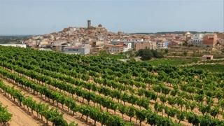 Casa a Carrer major 4. En batea, terra alta (tarragona)
