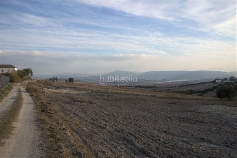 Foto c6f6e514-4c53-43cc-bbe1-31dee822e819. Finca rústica a calle vicente escriba 1a a Arcos de la Frontera