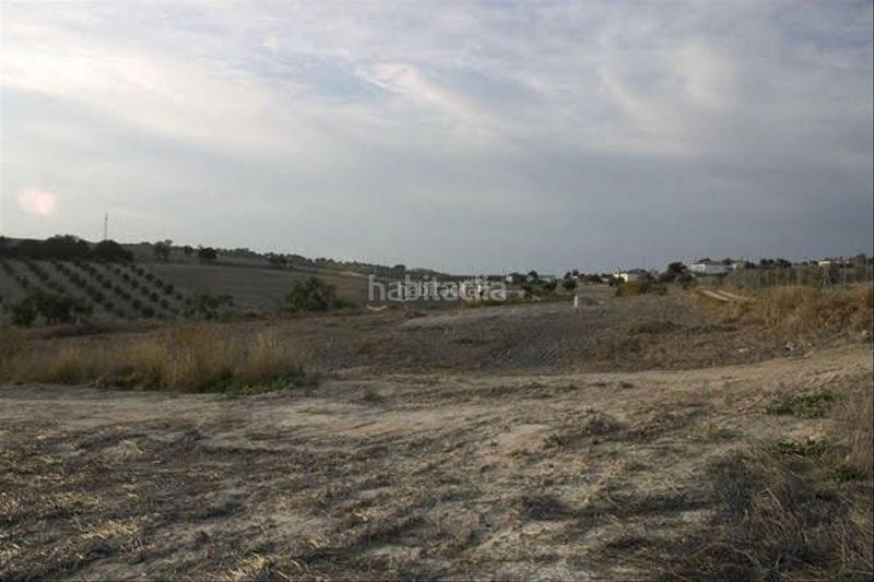 Foto f2c9f577-5eb5-426b-92f7-e807ed5070f6. Finca rústica a calle vicente escriba 1a a Arcos de la Frontera