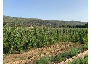 Landgut in Bv-5001 km 23. Bonica finca de regadiu a la roca del vallès