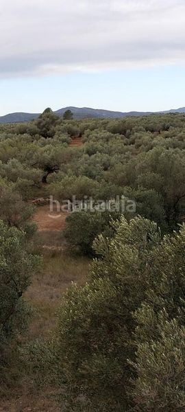 Foto 16043e29-2179-4d7d-abb4-c1fd7dd3e103. House in carrer sant miquel 9 in Canet lo Roig