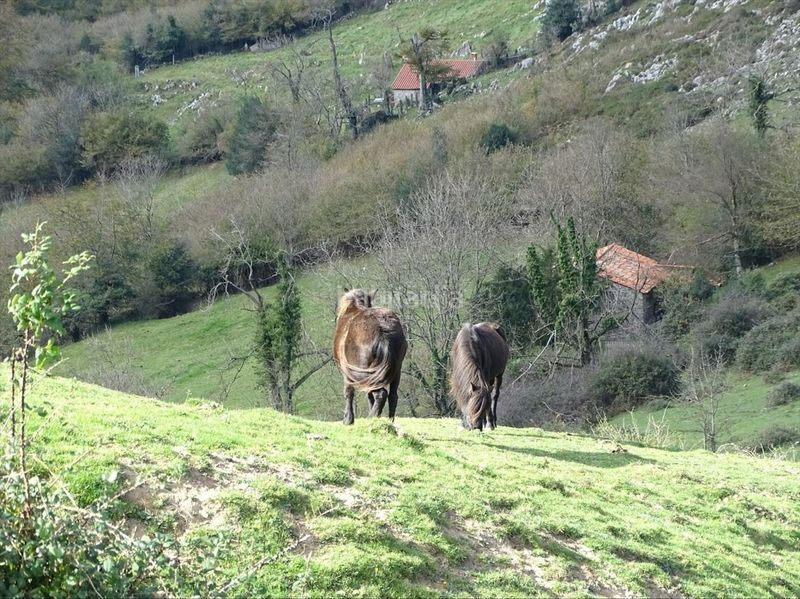 Foto 176dd734-d18e-4e8a-9e14-aad33f976723. Wohngrundstück in lugar la presa 3 in Bimenes