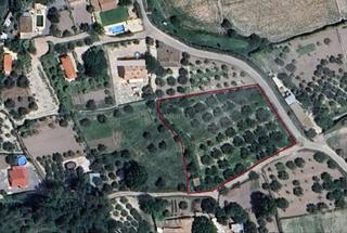 Terreny residencial a Diseminado rambla de baladre 54. Parcela zona el carrascal