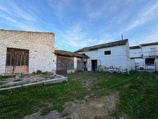 Pis a Calle rey juan carlos i 30. Olivares / calle rey juan carlos i