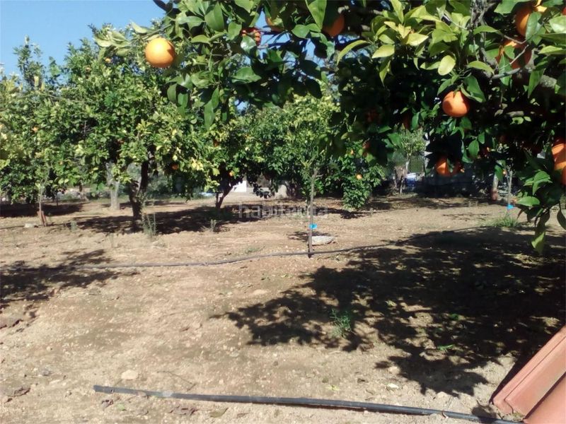 Foto f9769815-0870-4bf5-bf59-5d0ae82289eb. Haus in diseminado diseminados 2 615 in Carmona