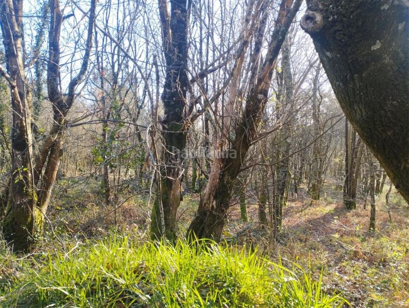 Foto 97d46e01-d98b-4911-a0d4-3956958a3eb5. Casa en aldea pazos 25 A Malata - Catabois - Ciudad Jardín en Ferrol