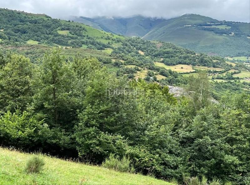 Foto 1ea92560-41f7-4532-b1ad-a95dd6f1637f. Casa a caserio llananzanes 11 a Aller