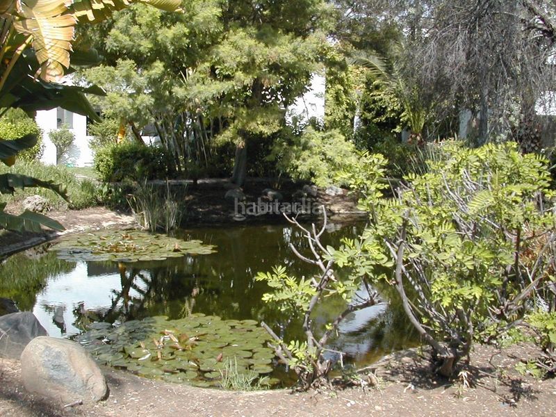 Foto c5f026ae-baa1-49ac-a053-288a00939ceb. Pis a avenida de los andaluces 24 a Casasola Estepona