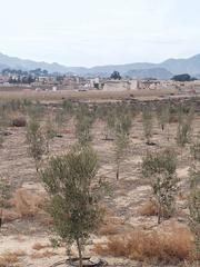 Chalet à Calle joaquín mondéjar 92. Desde que vivo aquí me estresè mucho.te lo cuento