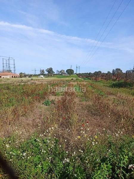 Foto 0b87cbce-e9fd-4389-8868-4c38641377e7. Finca rústica a calle del cañaveral 1 a Pedanías Norte Utrera