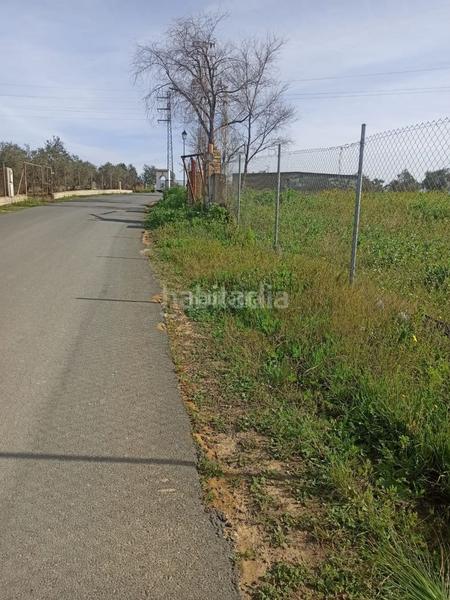 Foto b54b5cd1-9f90-4a24-98c9-f700a00cd4b5. Finca rústica a calle del cañaveral 1 a Pedanías Norte Utrera