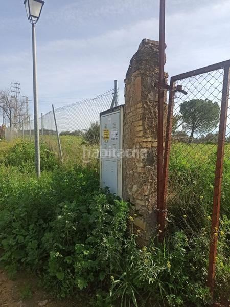 Foto dbd61d3b-774f-4a2f-8e09-91a274a02c4b. Finca rústica a calle del cañaveral 1 a Pedanías Norte Utrera