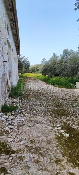 Foto 3a542156-7da3-43bb-8c40-440417377e0c. Finca rústica a plaza españa 14 a Cabra