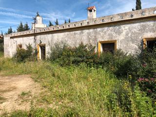Finca rústica a Carretera de barrio nuevo 368a. Finca agrícola