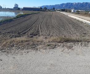Landgut in Vial camino 9101. Terreno rustico en parque natural delta del ebro