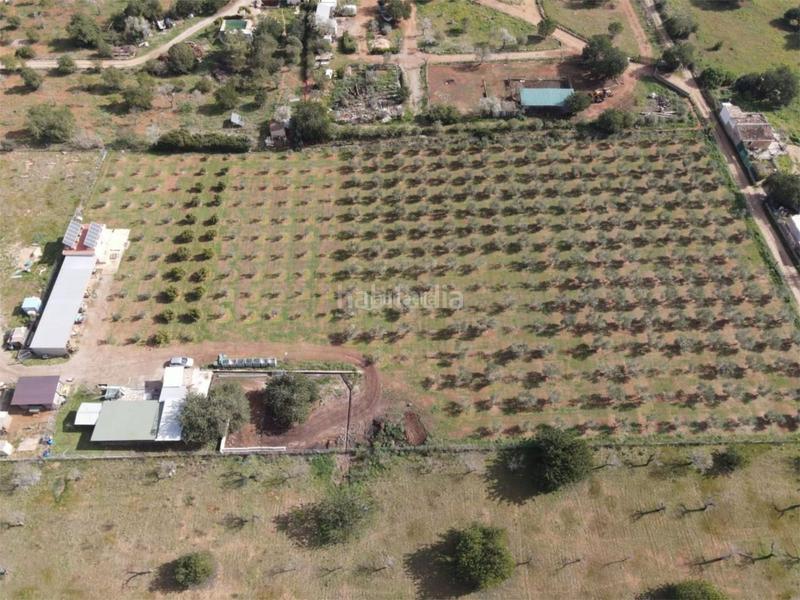 Foto a2a07da2-66fd-4470-8c31-8bd61ea03aa6. Casa a carretera 219 a Marratxinet Marratxí