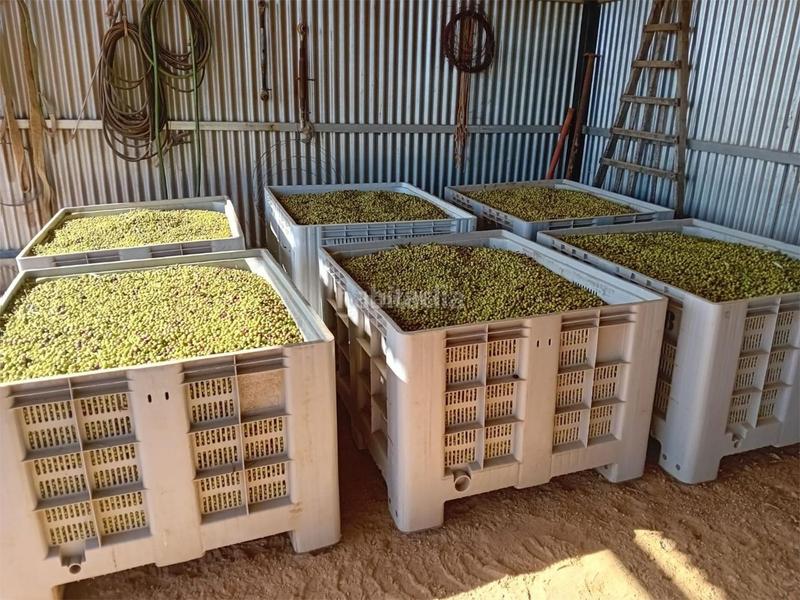 Foto a53c8d1a-1529-4349-b674-4534a67a20dd. Casa a carretera 219 a Marratxinet Marratxí