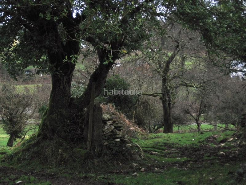 Foto 1a28c0b5-afc4-4841-9108-34bb2d3c1f08. Finca rústica a plaza ayuntamiento 8a a Abadín