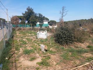 Terreny residencial a Carrer de l'empordà 841. Listo para edificar